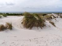 Ausblick über die Sanddünen zum Meer - Dueodde Dünen